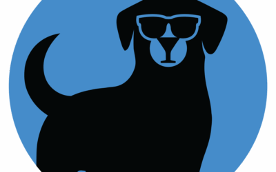 Martini Labs: Powering the Next Generation of Web3 Marketing, Fundraising, and Token Innovation